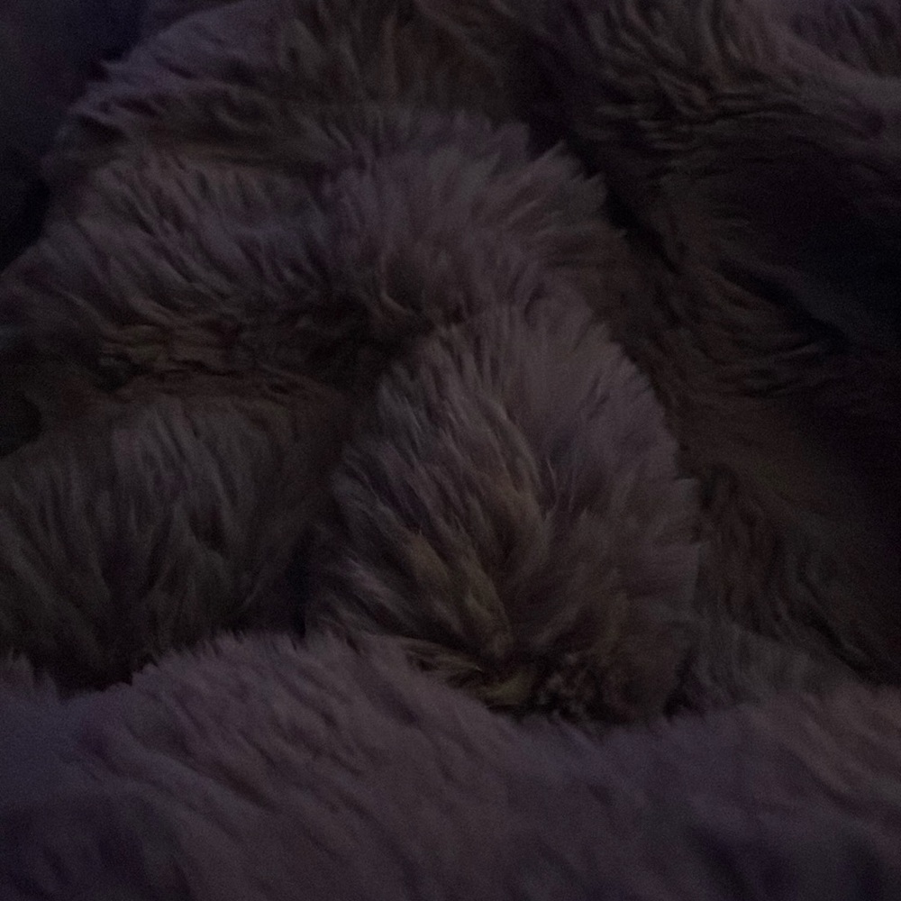 Meet your Posher, Tricia